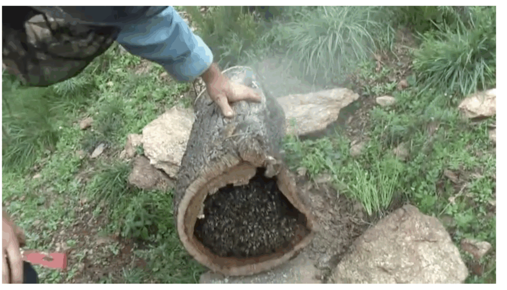 Capture d’écran 2024-06-04 à 12.59.17